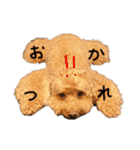 たぴちまんお誕生日プレゼントスタンプ（個別スタンプ：8）