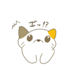 ねこいちゃん（個別スタンプ：12）