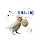 おうちのインコさん4（個別スタンプ：23）