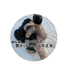 #koran japan 2（個別スタンプ：31）