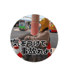 #koran japan 2（個別スタンプ：32）