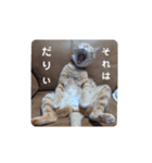 みちょすけ2（個別スタンプ：2）