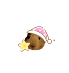モルモットちびちびスタンプ（個別スタンプ：9）