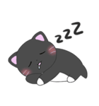 猫のスクイッシー（個別スタンプ：5）