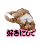 キャッツイン東京卒業猫スタンプ第1弾（個別スタンプ：10）