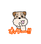 犬のトランプくん（個別スタンプ：2）