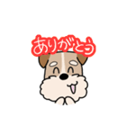 犬のトランプくん（個別スタンプ：3）