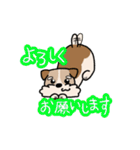 犬のトランプくん（個別スタンプ：5）