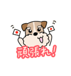 犬のトランプくん（個別スタンプ：6）