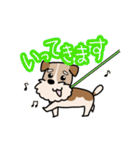 犬のトランプくん（個別スタンプ：7）