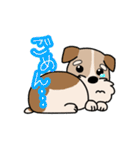 犬のトランプくん（個別スタンプ：9）