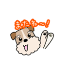 犬のトランプくん（個別スタンプ：10）