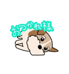 犬のトランプくん（個別スタンプ：14）