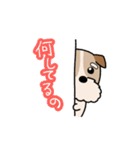 犬のトランプくん（個別スタンプ：15）