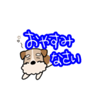 犬のトランプくん（個別スタンプ：16）