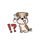 犬のトランプくん（個別スタンプ：17）