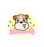 犬のトランプくん（個別スタンプ：20）