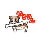 犬のトランプくん（個別スタンプ：21）