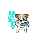 犬のトランプくん（個別スタンプ：22）