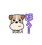 犬のトランプくん（個別スタンプ：24）