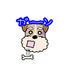 犬のトランプくん（個別スタンプ：27）