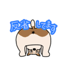 犬のトランプくん（個別スタンプ：33）