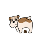 犬のトランプくん（個別スタンプ：38）