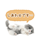 敬語でふきだしニャン（個別スタンプ：8）