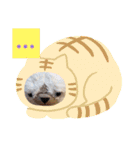 みんな集合‼️第2弾！（個別スタンプ：7）