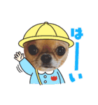 天使のチワワシリーズ（個別スタンプ：9）