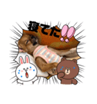 天使のチワワシリーズ（個別スタンプ：12）