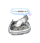 猫たちのスタンプ☆（個別スタンプ：2）