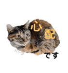 ハーツ保護猫シェルター支援・仕事その他（個別スタンプ：37）