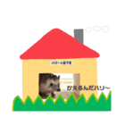 ハリーちゃんの日常スタンプ（個別スタンプ：16）