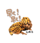 トイプーbyゆう子（個別スタンプ：10）
