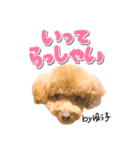 トイプーbyゆう子（個別スタンプ：15）