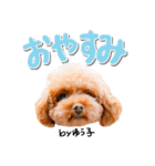 トイプーbyゆう子（個別スタンプ：16）