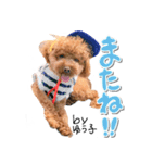 トイプーbyゆう子（個別スタンプ：23）