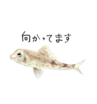 趣深い海の生き物（個別スタンプ：16）