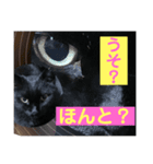 猫のRinちゃん2（個別スタンプ：6）