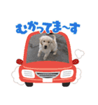 ♡ らぶ ♡（個別スタンプ：3）