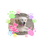 ♡ らぶ ♡（個別スタンプ：11）
