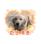 ♡ らぶ ♡（個別スタンプ：16）