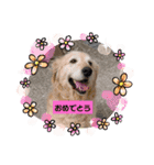 ♡ らぶ ♡（個別スタンプ：17）