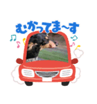 〜アリエルの日常〜（個別スタンプ：4）