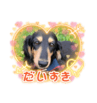 〜アリエルの日常〜（個別スタンプ：5）