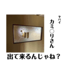 「はい、廃墟です」5（個別スタンプ：6）