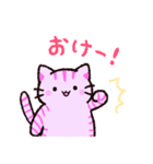 ゆるいねこうさinワンダーランド（個別スタンプ：5）