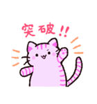 ゆるいねこうさinワンダーランド（個別スタンプ：17）