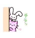 ゆるいねこうさinワンダーランド（個別スタンプ：19）